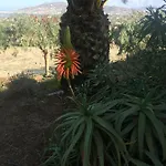 Katzilieris * Agios Arsenios