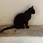 Katzilieris * Agios Arsenios