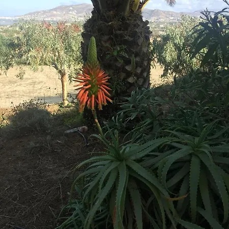 Katzilieris * Agios Arsenios